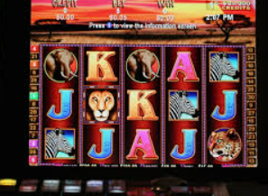 k·yun新网站登录下载app免费版